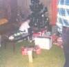 marg_xmas_small.jpg
