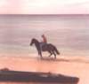 bill_on_horse_small.jpg