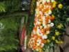 img_0200_small.jpg