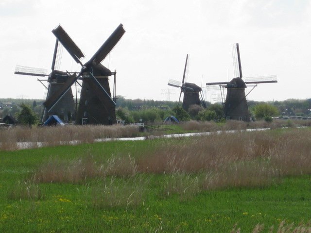 img_0242.jpg