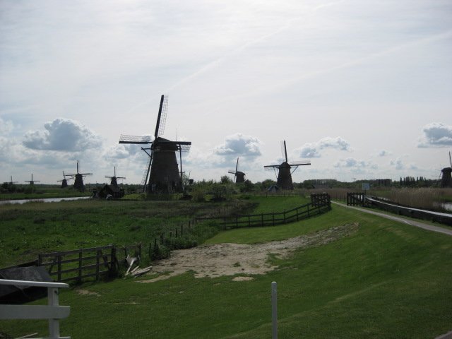 img_0247.jpg
