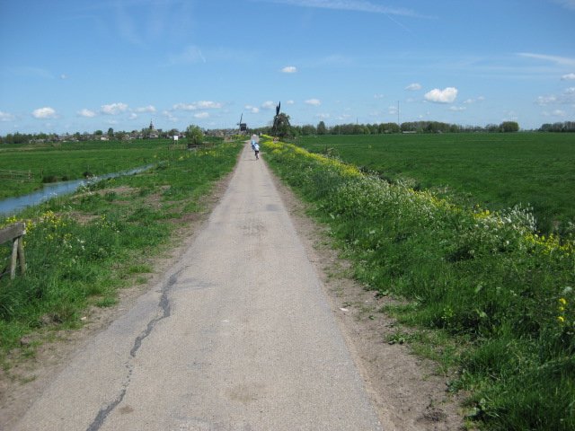 img_0250.jpg