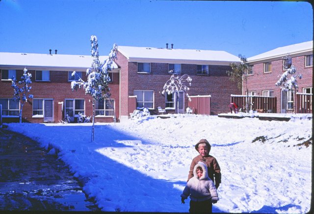 jamietaragosfordblvdcourtyard.jpg