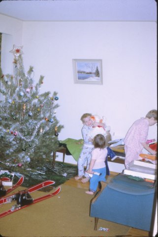 jamietarajanicexmas.jpg