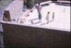 janicerobbatpoolgosfordblvd_small.jpg