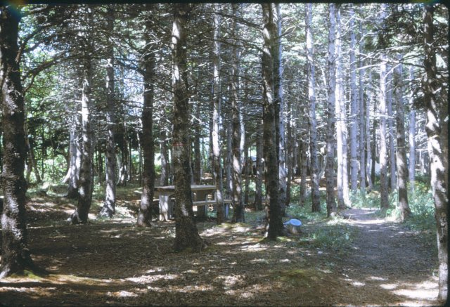 capecrokercamping.jpg