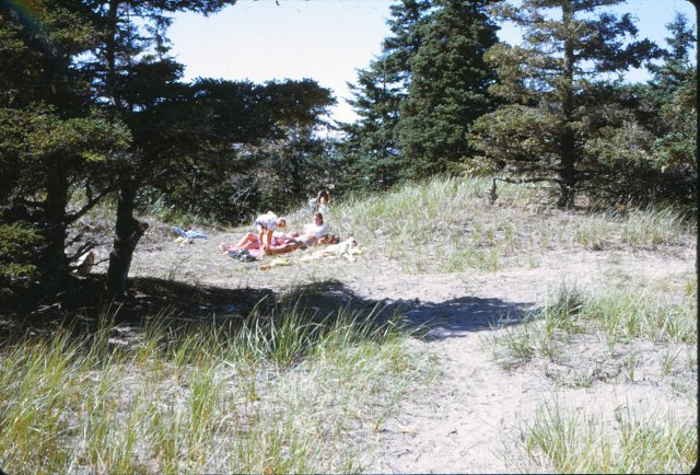 capecrokerpicnic2.jpg