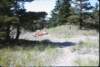 capecrokerpicnic2_small.jpg
