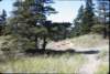 capecrokerpicnic_small.jpg