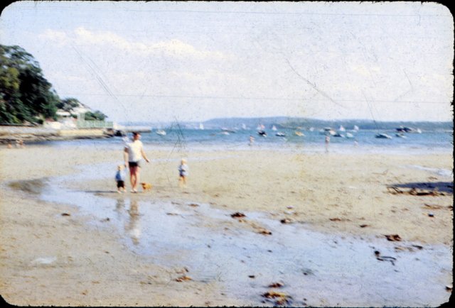 waynejanicerobbdogrosebay.jpg