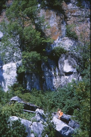 capecrokerintherocks.jpg