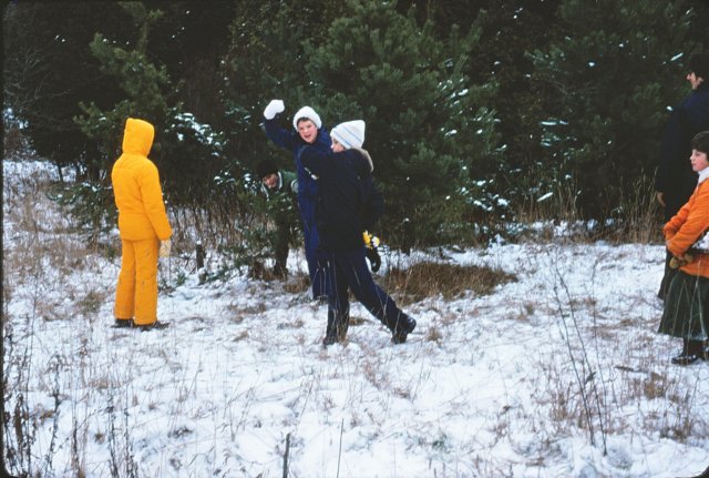 _getting_the_xmas_tree2.jpg