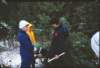 _getting_the_xmas_tree_janice_lindsey_beth_small.jpg