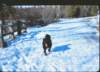 _sibir_small.jpg