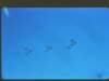 flybyscf100andsabres_small.jpg