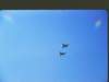 usaff86dsairborne_small.jpg