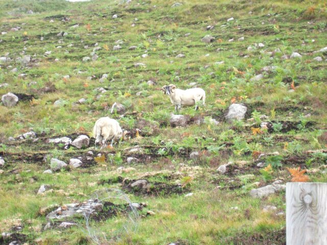 other_mountain_climbers.jpg