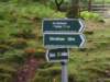 signs_for_walk_small.jpg