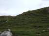 up_the_mountain_small.jpg