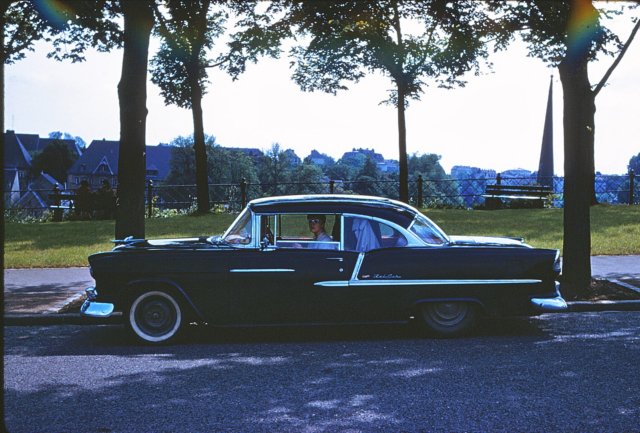 wingbethinthecar.jpg