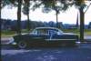 wingbethinthecar_small.jpg