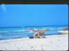majoricabeach4_small.jpg