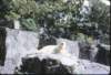 _edinburgh_zoo4_small.jpg