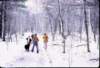 _guelph_sibir_and_kids_small.jpg