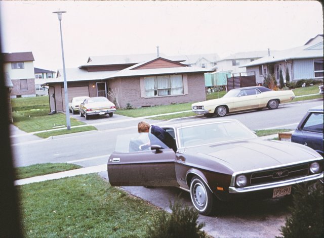 _mustang.jpg