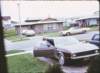 _mustang_small.jpg