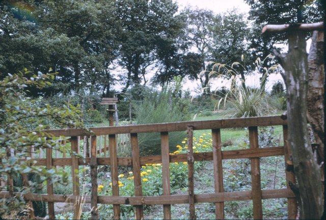 _scotland_airdrie_garden.jpg