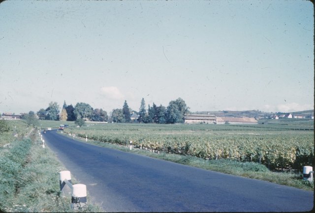 germanwinecountry.jpg