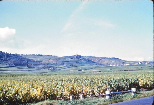 germanywinecountry.jpg