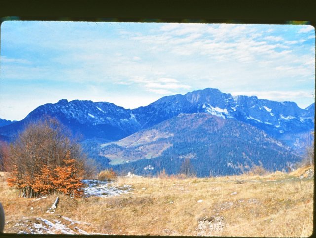 mountain.jpg