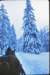 sanvigiliosleighride4_small.jpg