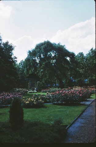 wingrosengarten2zwiebrucken.jpg