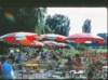 zwiebruckenrosengarden_small.jpg