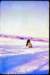 nickolasgomezcanada1967_small.jpg