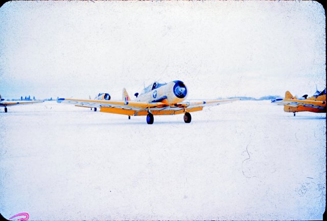 penholdharvardwinterramp.jpg