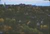heidlebergcastlelview2_small.jpg